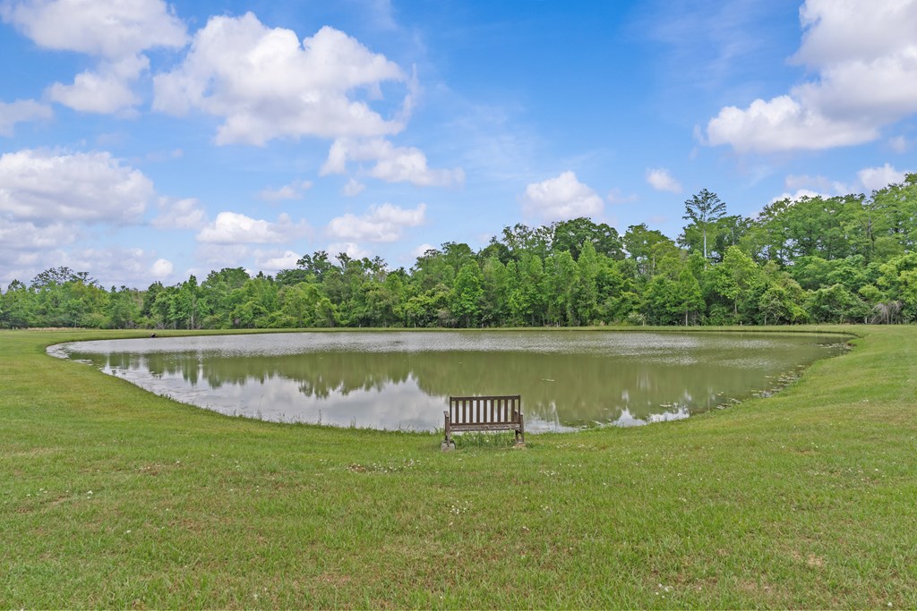 2230 D Hodge, Cottonwood, Alabama image 45