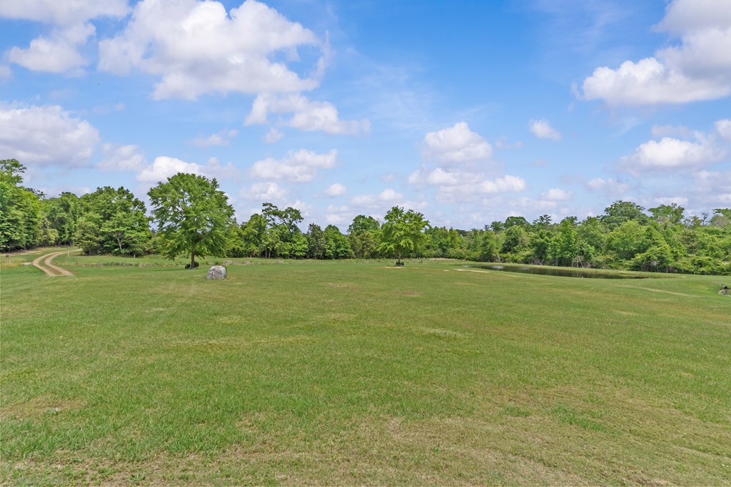 2230 D Hodge, Cottonwood, Alabama image 47