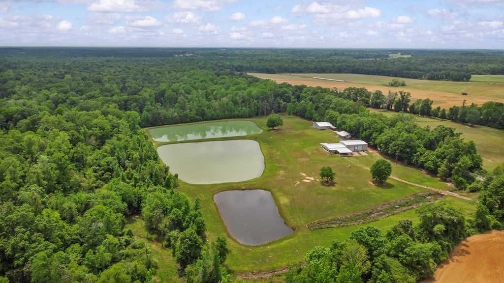 2230 D Hodge, Cottonwood, Alabama image 4
