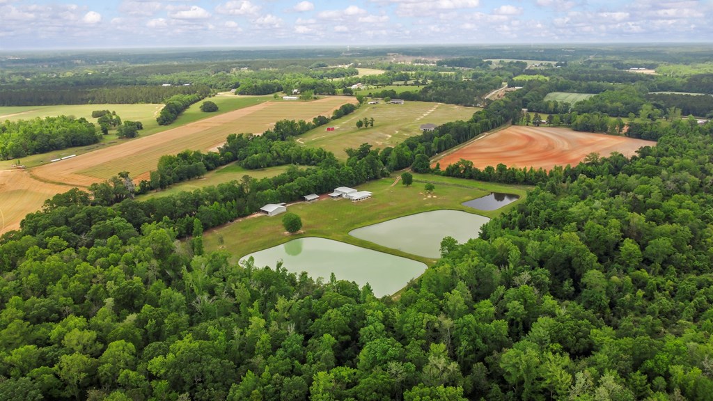 2230 D Hodge, Cottonwood, Alabama image 6