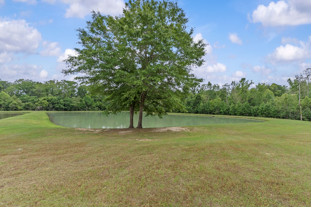 2230 D Hodge, Cottonwood, Alabama image 44