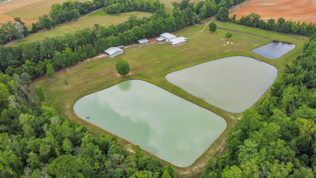 2230 D Hodge, Cottonwood, Alabama image 3