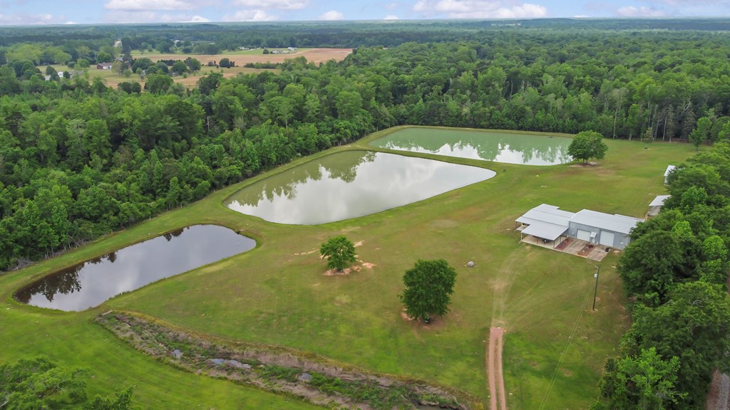 2230 D Hodge, Cottonwood, Alabama image 10