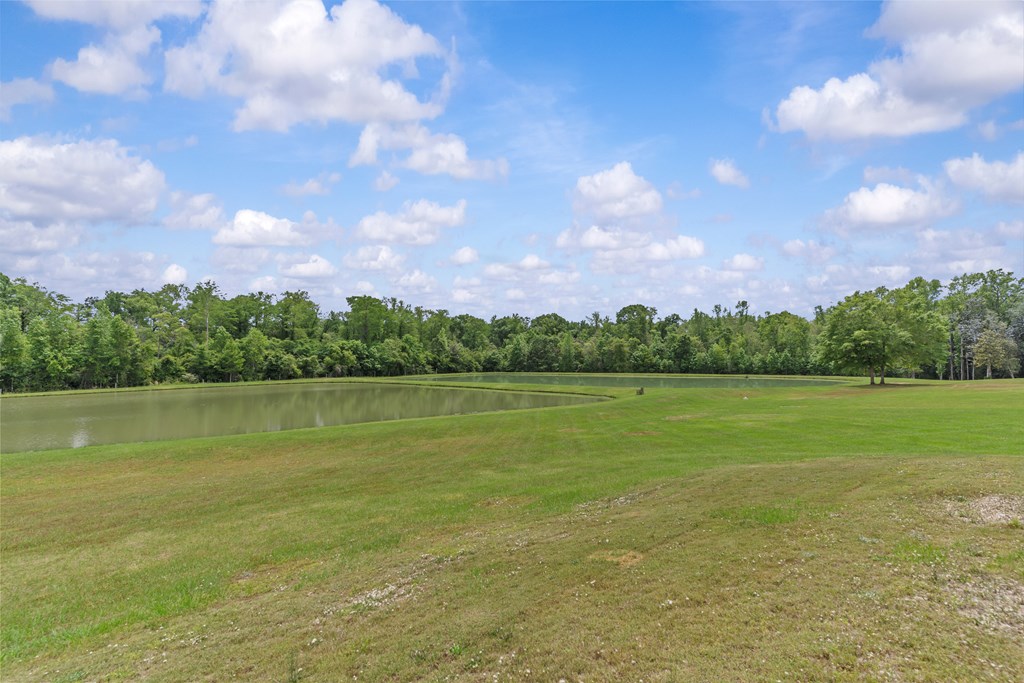 2230 D Hodge, Cottonwood, Alabama image 46