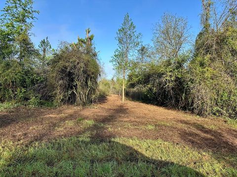 Vacant Land For Sale - 5.58 ACRES N County Road 61<br/> Geneva County, Hartford, AL 36344
