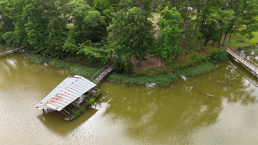 Hudspeth Dr, Abbeville, Alabama image 8