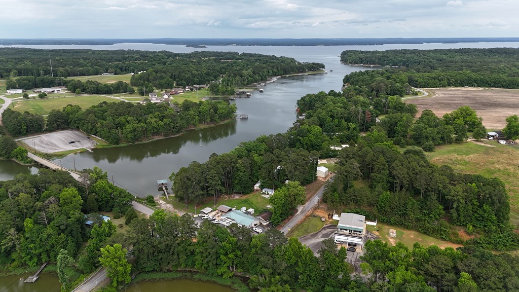 Hudspeth Dr, Abbeville, Alabama image 9