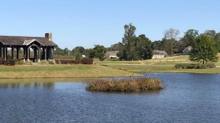 108 Weeping Willow Trail, Headland, Alabama image 47