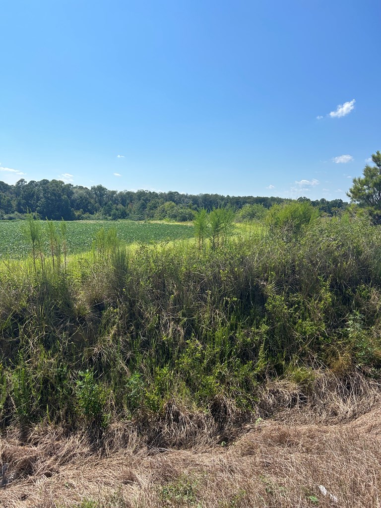 1831 S Hooper Cherry Rd, Dothan, Alabama image 5