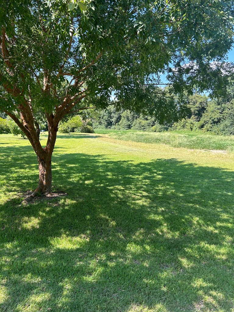 1831 S Hooper Cherry Rd, Dothan, Alabama image 4