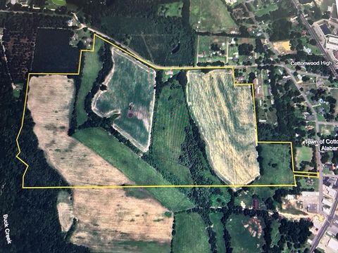 Vacant Land For Sale - 101.12+-AC Houston St/ Metcalf St<br/> Houston County, Cottonwood, AL 36320