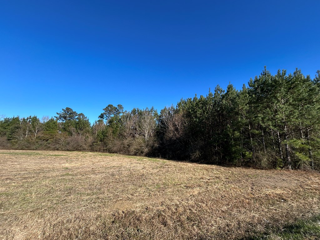 10.779 +-ac Lot 12, Willie Varnum Rd/d Hodge Rd, Cottonwood, Alabama image 18