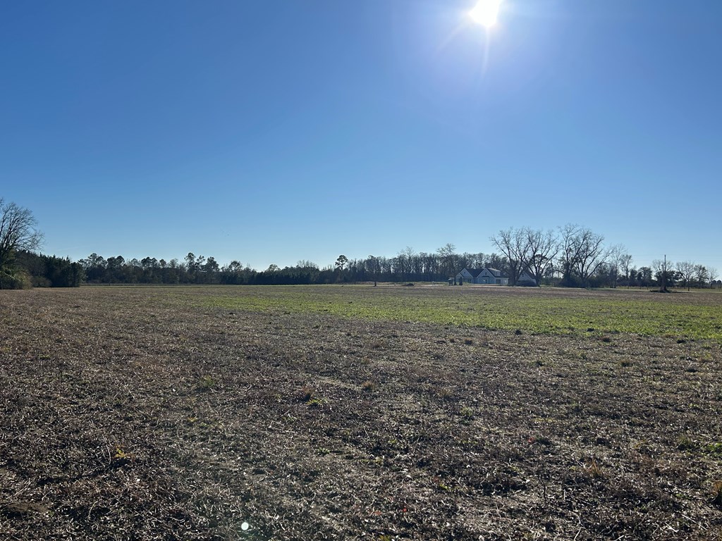 10.779 +-ac Lot 12, Willie Varnum Rd/d Hodge Rd, Cottonwood, Alabama image 26