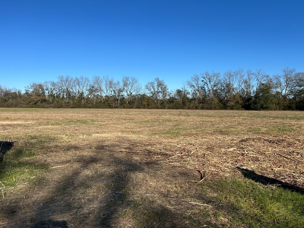 10.779 +-ac Lot 12, Willie Varnum Rd/d Hodge Rd, Cottonwood, Alabama image 13