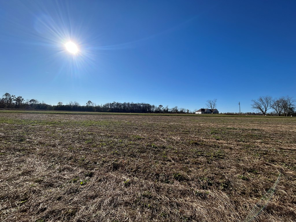 10.779 +-ac Lot 12, Willie Varnum Rd/d Hodge Rd, Cottonwood, Alabama image 23