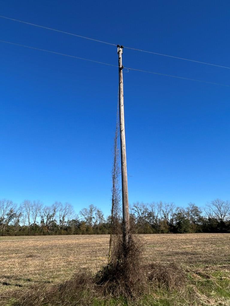 10.779 +-ac Lot 12, Willie Varnum Rd/d Hodge Rd, Cottonwood, Alabama image 12