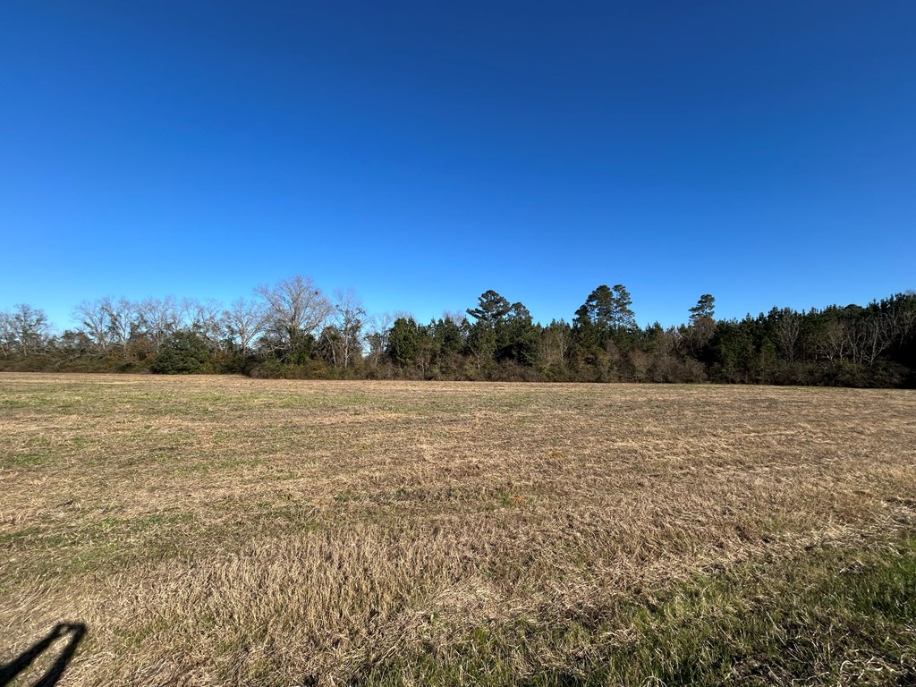 10.779 +-ac Lot 12, Willie Varnum Rd/d Hodge Rd, Cottonwood, Alabama image 17