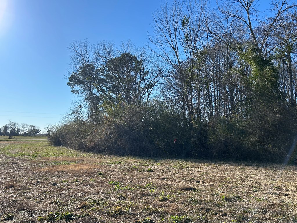 10.779 +-ac Lot 12, Willie Varnum Rd/d Hodge Rd, Cottonwood, Alabama image 27