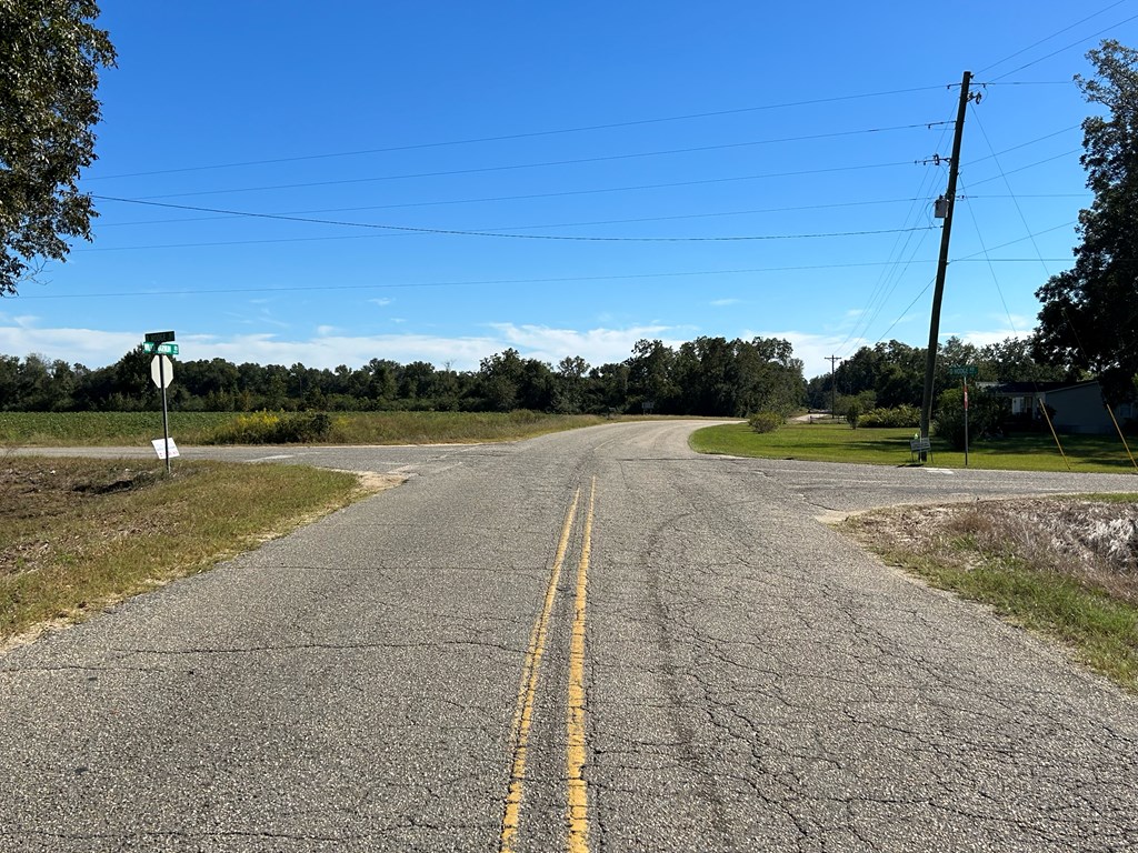 10.779 +-ac Lot 12, Willie Varnum Rd/d Hodge Rd, Cottonwood, Alabama image 8