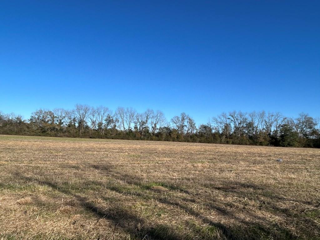 10.779 +-ac Lot 12, Willie Varnum Rd/d Hodge Rd, Cottonwood, Alabama image 16