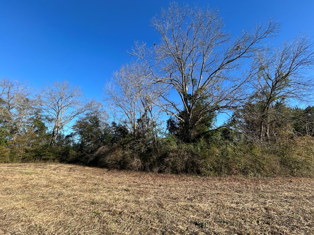 10.779 +-ac Lot 12, Willie Varnum Rd/d Hodge Rd, Cottonwood, Alabama image 24