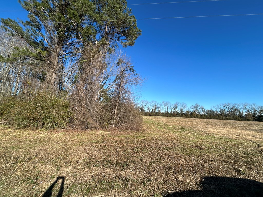 10.779 +-ac Lot 12, Willie Varnum Rd/d Hodge Rd, Cottonwood, Alabama image 11