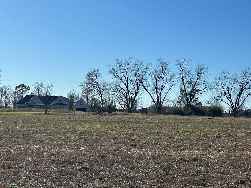 10.779 +-ac Lot 12, Willie Varnum Rd/d Hodge Rd, Cottonwood, Alabama image 25