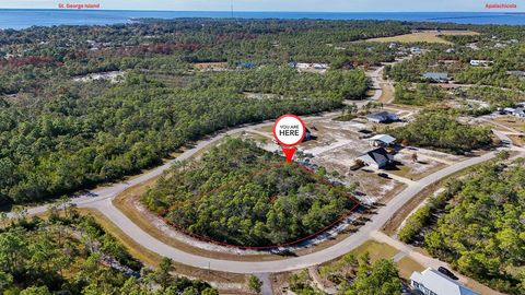 Photo of 382 Lily Cir, Eastpoint, FL 32328 (MLS # 324761)