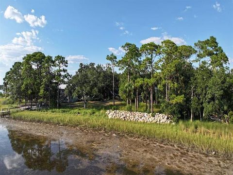 Photo of 1250 Live Oak Island Rd, Crawfordville, FL 32327 (MLS # 324616)