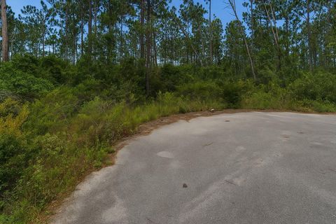 Photo of 180 Alexis Way, Wewahitchka, FL 32465 (MLS # 324318)