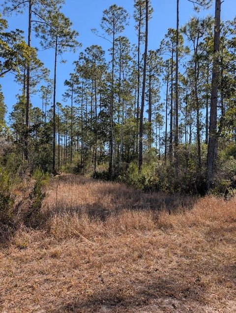 Photo of 846-5B Hickory Hammock Rd, Carrabelle, FL 32322 (MLS # 326379)