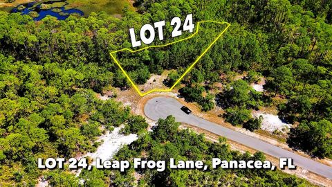Photo of LOT 24 Leap Frog Ln, Panacea, FL 32346 (MLS # 324187)