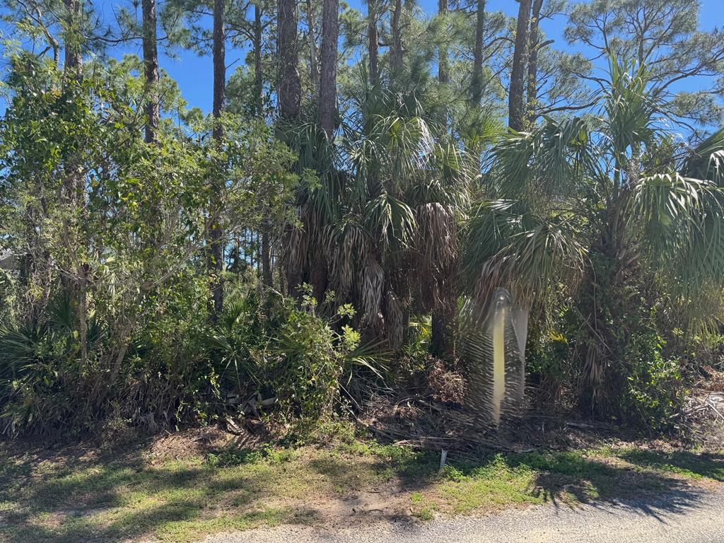 Listing image 8