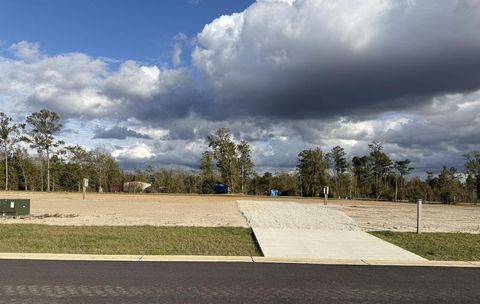 Photo of 110 Kiera Ct, Wewahitchka, FL 32465 (MLS # 324873)