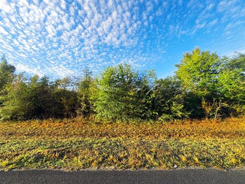 Photo of TBD SW Sr 73, Kinard, FL 32449 (MLS # 324779)