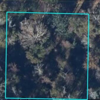 Photo of 325 Riverside Cir, Wewahitchka, FL 32465 (MLS # 329767)