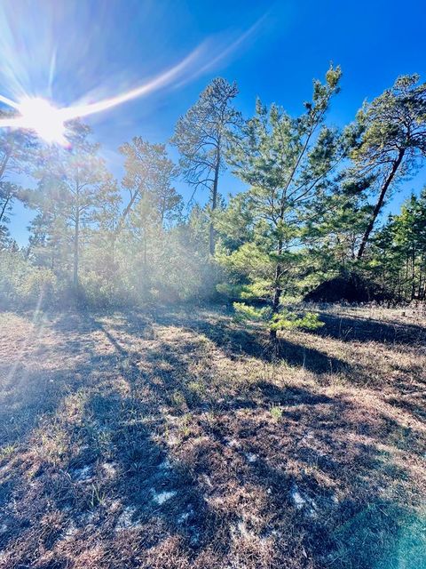 Photo of 228 Lake Pristine Cir, Carrabelle, FL 32322 (MLS # 325171)