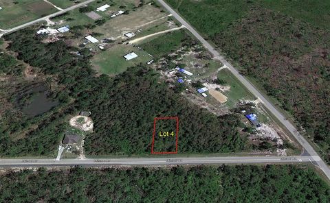 Photo of Lot 4 Mitchel Rd, Wewahitchka, FL 32465 (MLS # 320350)