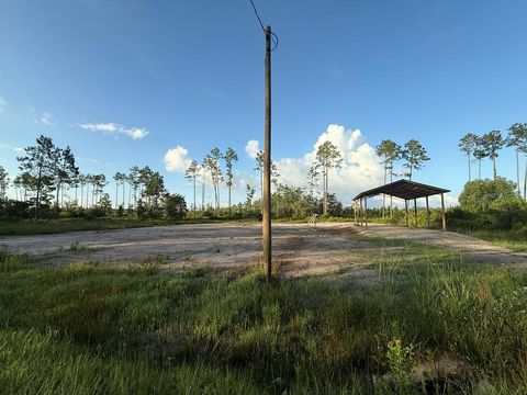 Photo of 6312 Doc Whitfield Rd, Wewahitchka, FL 32465 (MLS # 322336)