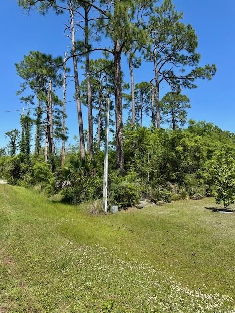 Photo of Lot 7 Sr 30-A, Port Saint Joe, FL 32456 (MLS # 324371)