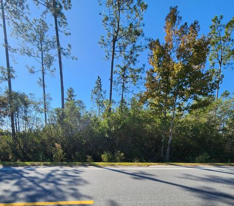 Photo of Lot 32 Doc Whitfield Rd, Wewahitchka, FL 32465 (MLS # 324570)