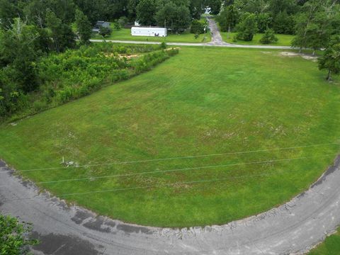 Photo of Lot 1 Thomas Cir, Wewahitchka, FL 32465 (MLS # 322465)