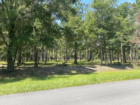 Photo of 4810 Cr 381, Wewahitchka, FL 32465 (MLS # 323911)