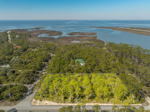 Photo of 1601 Forsythia Trail, Saint George Island, FL 32328 (MLS # 324652)