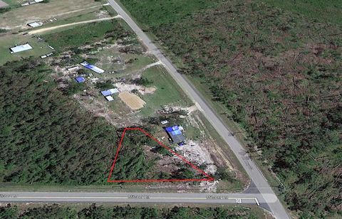 Photo of Lot 1 Mitchel Rd, Wewahitchka, FL 32465 (MLS # 320347)