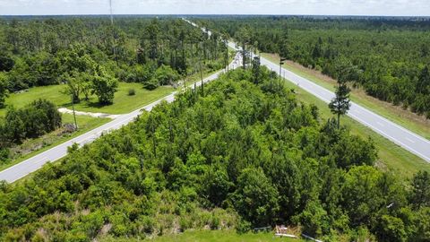 Photo of Lot 6 Borders Rd, Wewahitchka, FL 32465 (MLS # 325187)