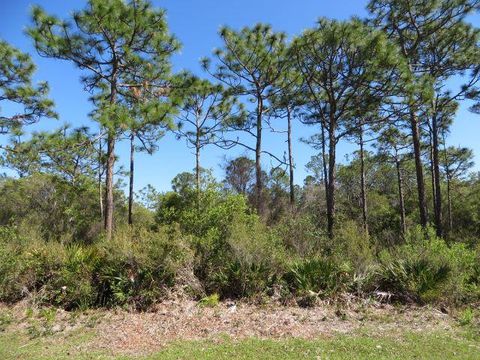 Photo of 332 Frank McKamey Way, Carrabelle, FL 32322 (MLS # 328104)