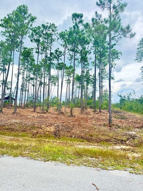 Photo of Lot 16 Live Oak Dr, Wewahitchka, FL 32465 (MLS # 322250)