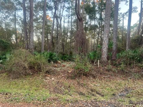 Photo of 34 Gibson Rd, Apalachicola, FL 32320 (MLS # 325223)