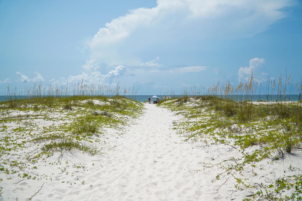 St. George Island, Florida 32328, United States, 2 Bedrooms Bedrooms, ,3 BathroomsBathrooms,Residential,Active,65390